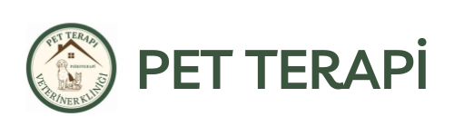 Pet Terapi Bodrum Veteriner Kliniği
